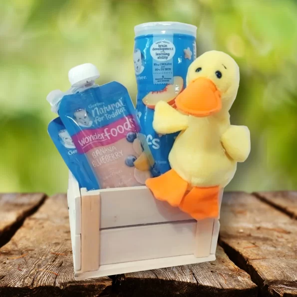 Cute baby gift basket