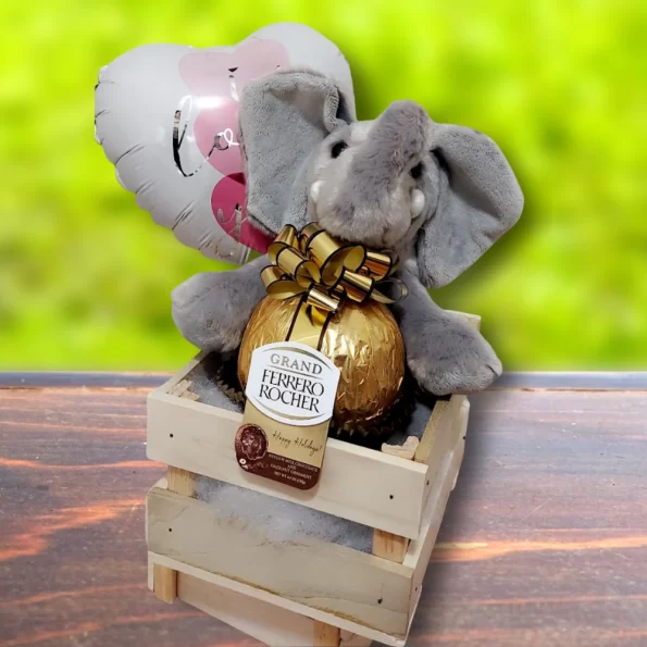 Cute elephant Gift Basket – Gift Basket for Delivery in Virginia